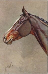 Portrait of Horse J. Rivst Artist Signed Unused Postcard E92