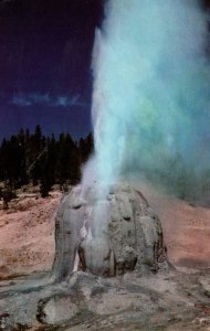 Lone Star Geyser,Yellowstone National Park BIN