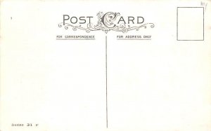 Pig St Patricks Day View Images 