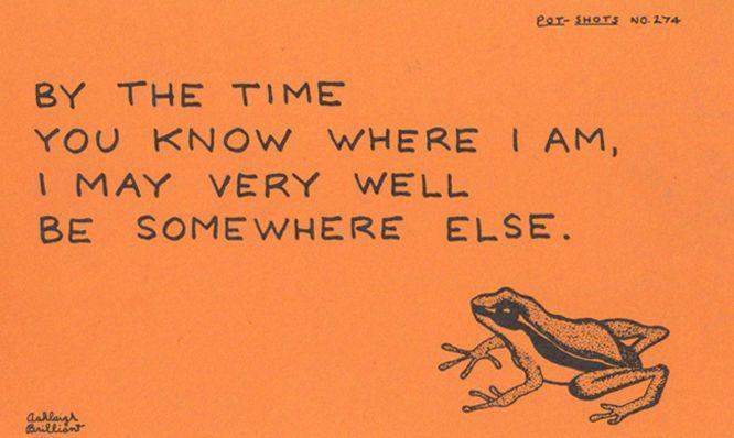 By The Time You Write I May Be Somewhere Else Lost Frog Motto Proverb Postcard