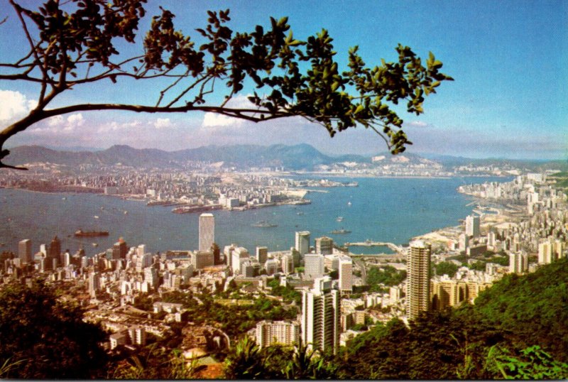 Hong Kong & Kowloon From The Peak