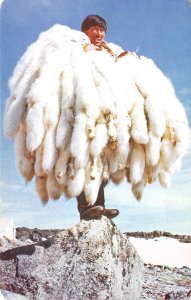 Hudson's Bay Company Canada 1950s Postcard Man With Fur Pelts