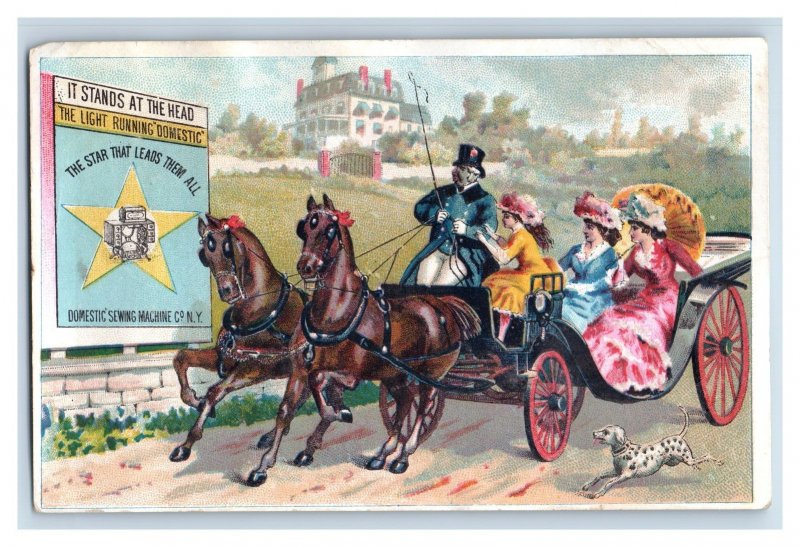 1880s Domestic Sewing Machine Co. Horses Carriage Dalmatian Dog P141 