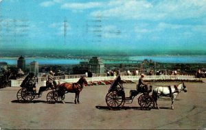 Canada Montreal Old French Horsedrawn Carriages On Mount Royal 1960