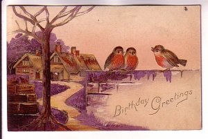 Birds Birthday Greetings, Used 1909 Nova Scotia Cancel