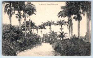 A Country Lane BARBADOS Postcard