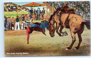 1940 Bob Boden Bucked off Horse Leaving Mexico Rodeo Bucking Bronco Postcard C37