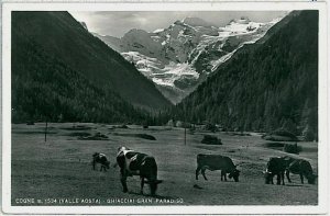 CARTOLINA d'Epoca AOSTA provincia - Cogne 1956