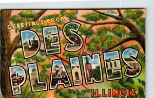 Greetings From Des Plaines Illinois Large Big Letter Linen Postcard Curt Teich