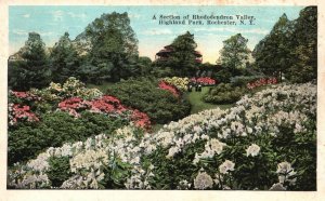 Vintage Postcard 1925 Section Of Rhododendron Valley Highland Park Rochester NY