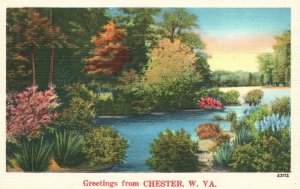 Greetings From Chester West Virginia Lakes Forest Trees NYCE Vintage Postcard