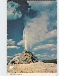 Postcard White Dome Geyser Yellowstone National Park Wyoming USA