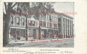 NY, Delhi, New York, Street Scene, Business Section, 1905 PM