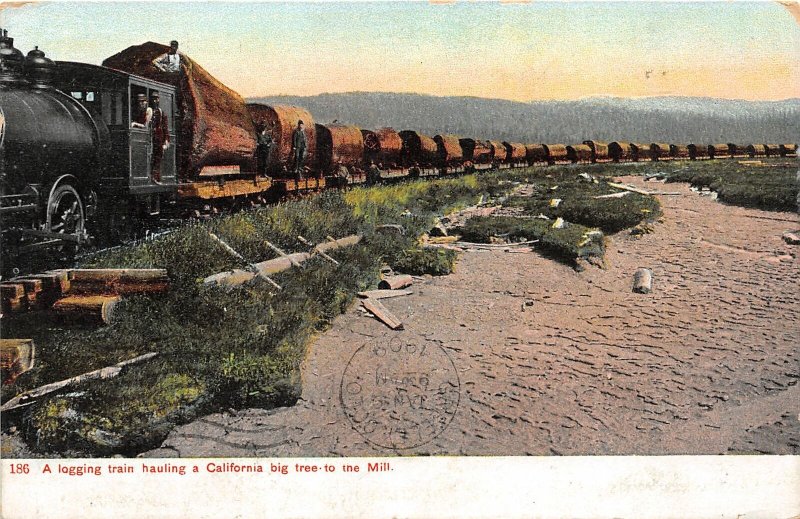 H73/ Sacramento California Postcard c1910 Logging Train Big Tree Mill  141