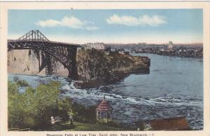 Canada Reversing Falls at Low Tide Saint John New Brunswick