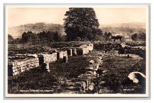 RPPC Roman Fort Cilurnum Street View Walwick Northumberland England Postcard W21