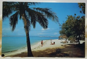 Swimming Beach Lagoon Rarotongan Hotel Cook Island Vintage Postcard