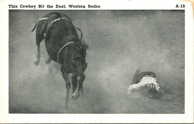 Cowboy Bit the Dust Western Rodeo1950s Multakrom Post Card Co Postcard UNP