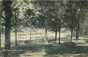 1909 Oak Lawn Park Olean New York Postcard 8707