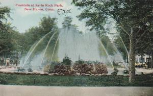 Fountain at Savin Rock Park - New Haven CT, Connecticut - pm 1911 - DB