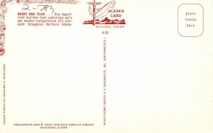 AK - Husky Dog Sled Team