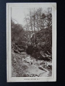 Lancashire Chorley Riley Green HOGHTON BOTTOMS Woodland c1916 RP Postcard