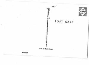 Cute Cocker Spaniel  Puppy Dog Chewing Lady's Hat