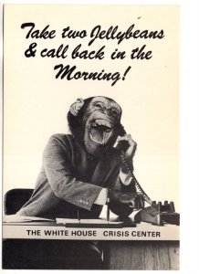 White House Crisis Center, Monkey, Take Two Jellybeans, Satire, Humour