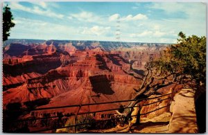 Arizona AZ, 1966 Grand Canyon National Park, Hopi Point, Panorama, Postcard