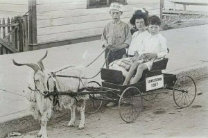 1917 RPPC Postcard Lewistown Kids goat Pulled cart Star Clothing Co Ad 