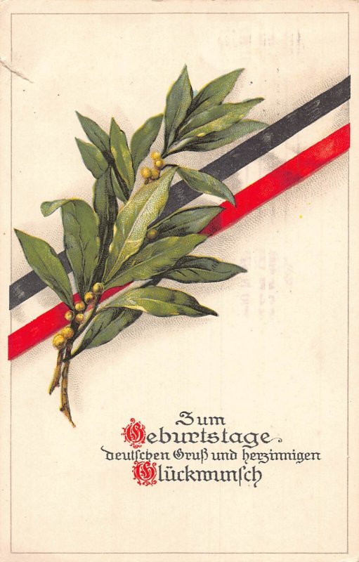 B155 Patriotic German Propaganda Birthday Ribbon Flag Mistletoe 1915 postcard