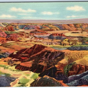 1935 Painted Desert, AZ Teich Linen PC P.D. #15 Rock Erosion Petrified Wood A286