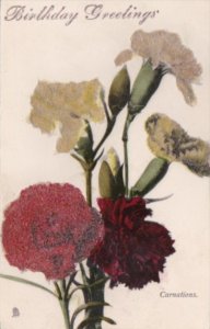 Tucks Carnations Birthday Greetings Flower Series