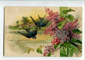 3149594 SWALLOW & Lilac Vintage Greeting PC