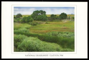 National Grasslands - Clayton