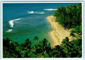 KAUAI, Hawaii HI ~ Birdseye KE'E BEACH at HA'ENA 1986 ~ 4x6 Postcard