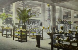 C.1905-10 Exhibit Hall Los Angeles Chamber Commerce Vintage Postcard P88