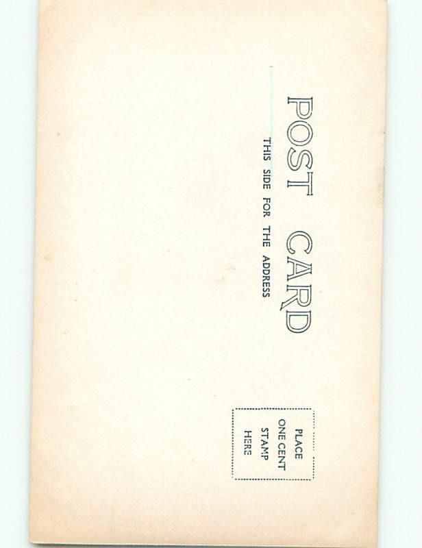 Old rppc NATURE SCENE Great Postcard AB0571