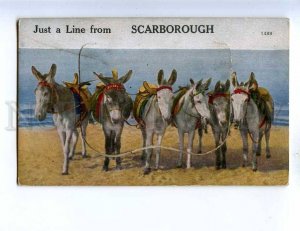 192742 UK SCARBOROUGH 12 views DONKEYS Vintage postcard