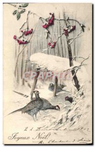 Old Postcard Fantasy Christmas Birds Pheasants