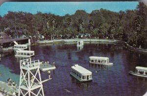 Florida Silver Springs Glass Bottomed Boats