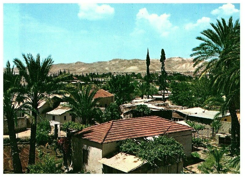 City of Palms Jericho Palestine West Bank Postcard 4 x 6