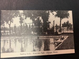 c.'43, Riverview  Amusement Park, Feeding Ducks, Msg, Chicago IL. Old Postcard