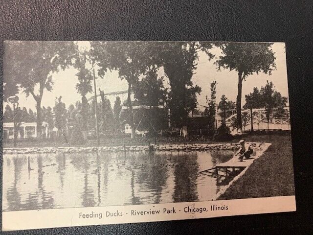 c.'43, Riverview  Amusement Park, Feeding Ducks, Msg, Chicago IL. Old Postcard