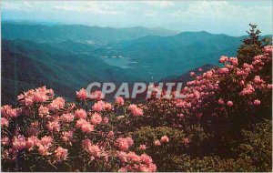 Postcard Modern Western North Carolina Asheville Watershed