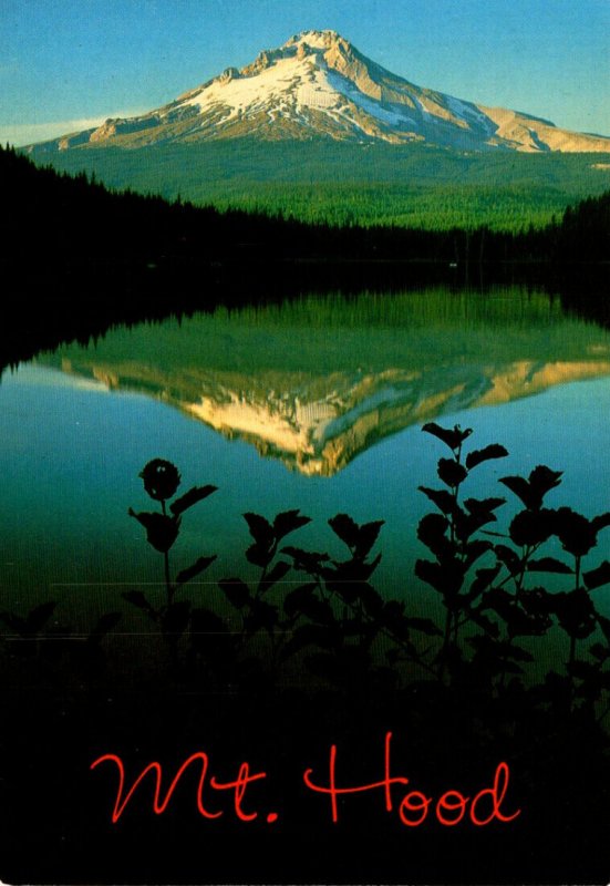 Oregon Reflections Of Mt Hood In Trillium Lake