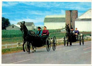 Pennsylvania Greetings From Dutch Country Two Amish Courting Buggies