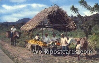 Native Fruitstand Panama Interior Panama Unused 