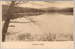 Laurel Lake New Hampshire Unused Lithograph Postcard H80