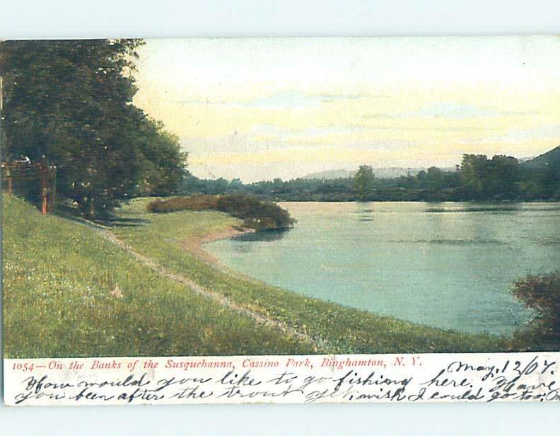 Pre-1907 PARK SCENE Binghamton New York NY H4045